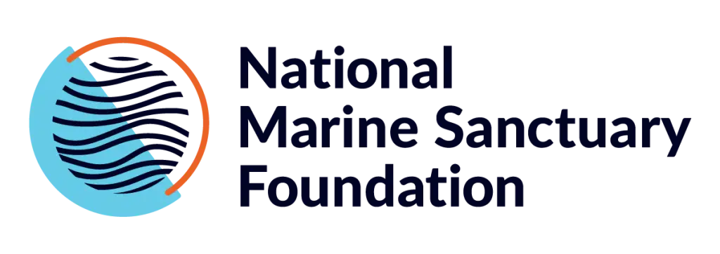 NMSF