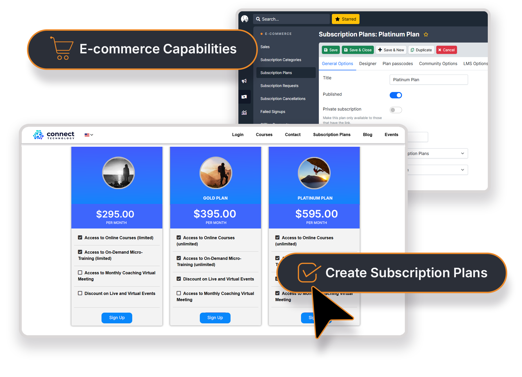 E-commerce capabilities image